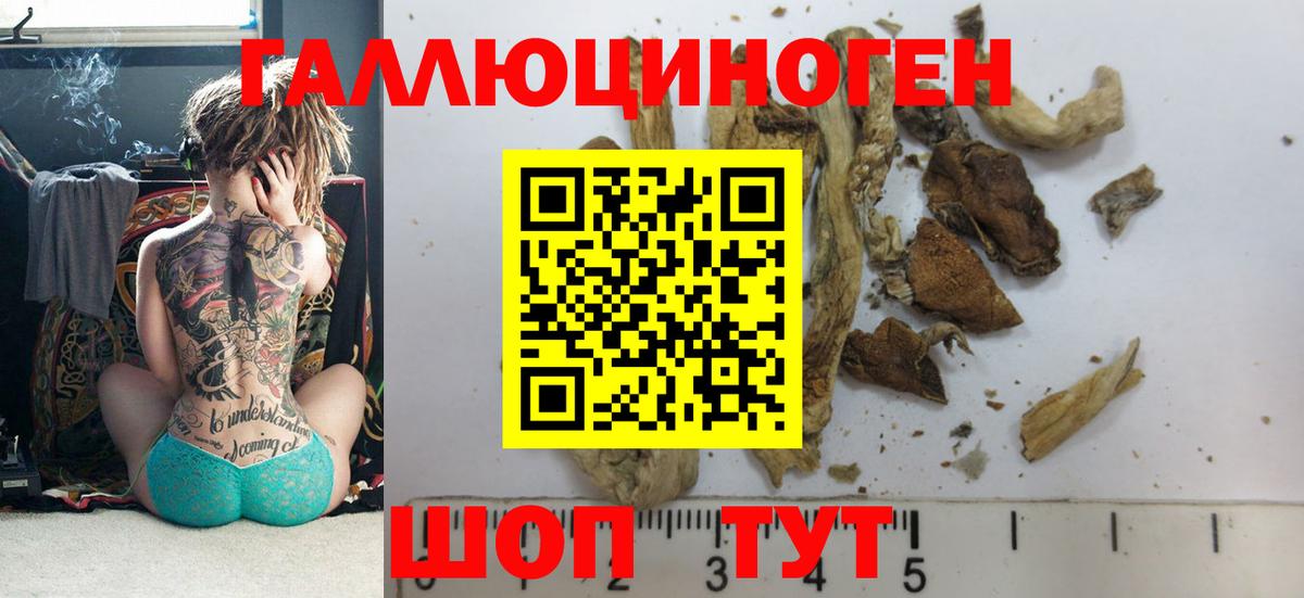 Галлюциногенные грибы мицелий  как найти закладки  Краснодар  Псилоцибиновые грибы Psilocybine cubensis  Вход с VPN 